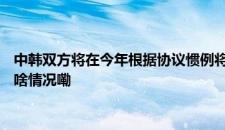 中韩双方将在今年根据协议惯例将大熊猫“福宝”接返回中国 是啥情况嘞